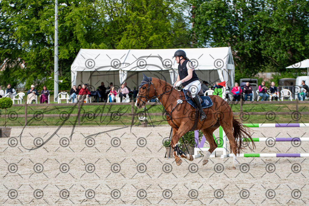 KPT_6850 | andre_photographic