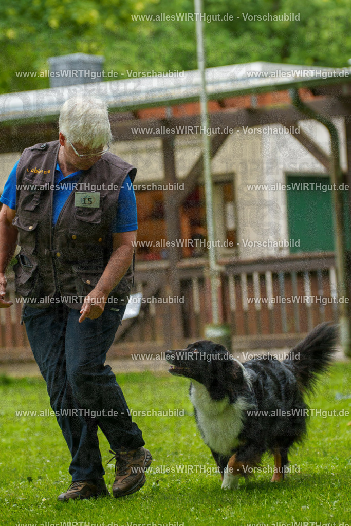 @allesWIRTHgut_Tierfotografie - www.allesWIRTHgut.de - 091520-7R506816 | Professionelle Tierfotografie in Mönchengladbach von Daniel Wirth (allesWIRTHgut). Liebevolle & natürliche Bilder von Hunden & Katzen für unvergessliche Erinnerungen.