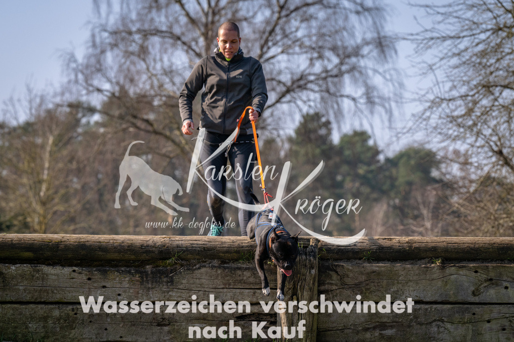 _ZZ90199 | kk-dogfotos