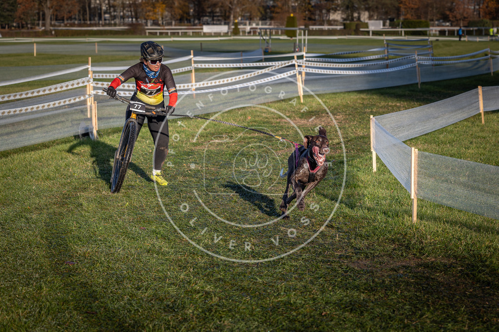 CaniXpix_0L8A3640 | Hundefotografie, Tierfotograf, Pfotenfotografie, Fotoshooting Hund, Hunde Portrait, Hundesport, Hundeportraits, Heideshooting, Hunde, Sportfotograf, Hundefotograf, Turnierhundsport, THS,  - Realisiert mit Pictrs.com