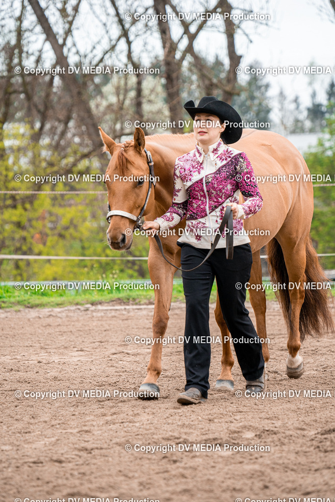 BA300167 | dv-media-shop - Realisiert mit Pictrs.com