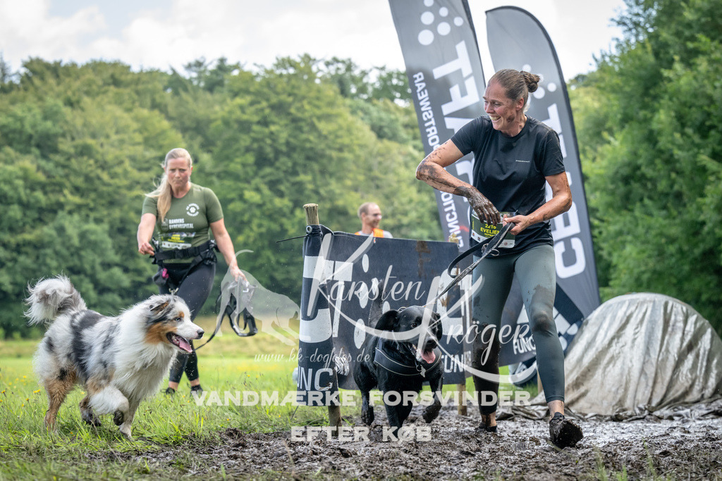 1145_ZZ94131 | kk-dogfotos