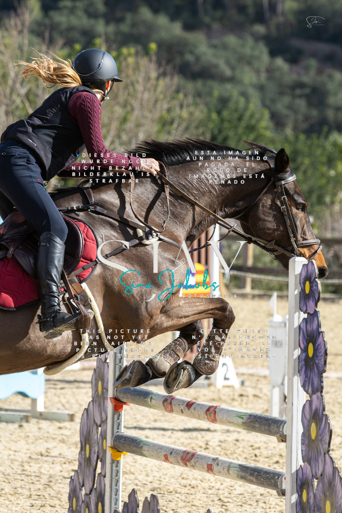 IMG_4042 | s-jay-photography - Realisiert mit Pictrs.com