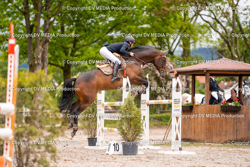 Eppelheim Tag 3-15 | dv-media-shop - Realisiert mit Pictrs.com