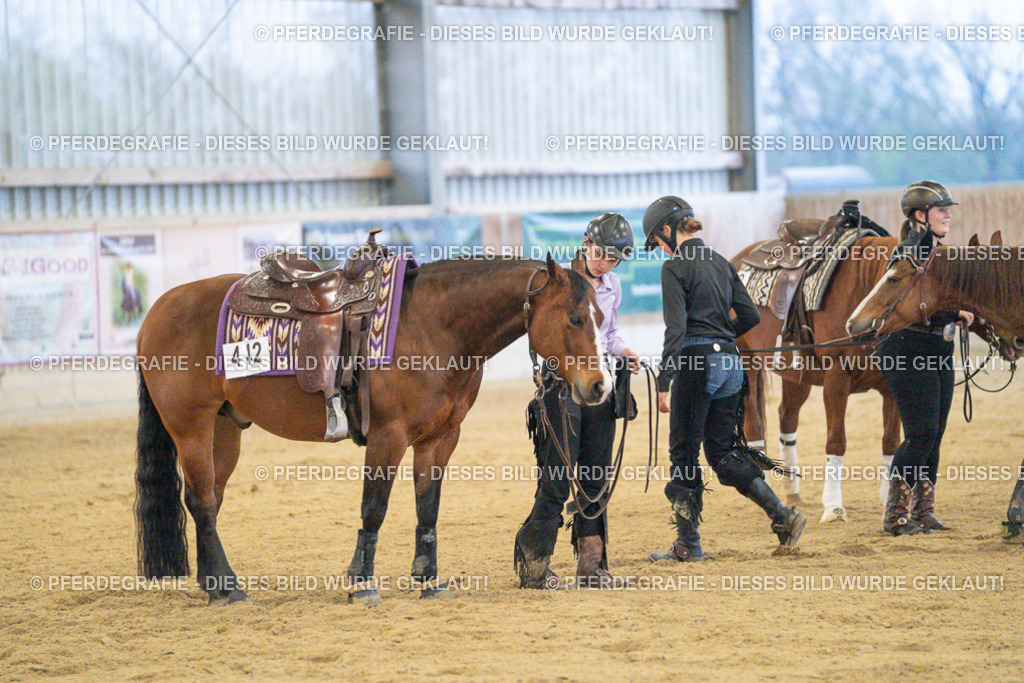 DSC09581 | Pferdegrafie