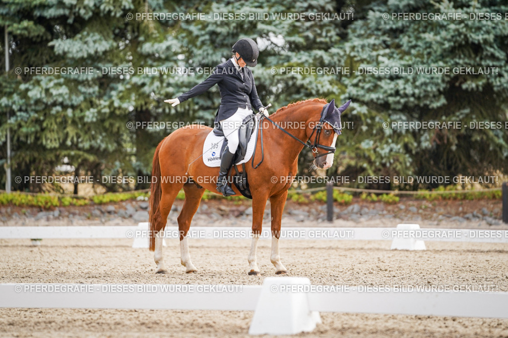 DSC01732 | Pferdegrafie