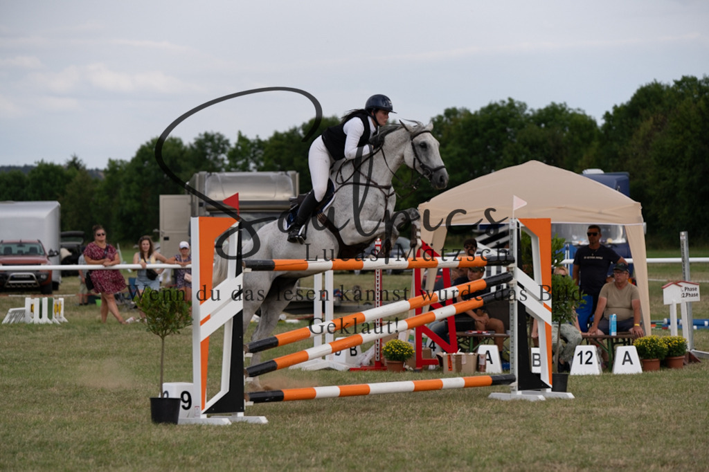 A7V02900 | Pferdefotograf