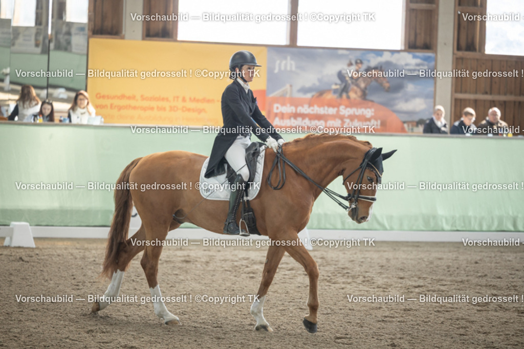 _D5A0983 | Emotionale Pferde- & People-Fotografie rund um Heidelberg, Leimen & Umgebung. Natürliche Fotos von Pferd, Mensch & Familie. Jetzt Termin sichern!