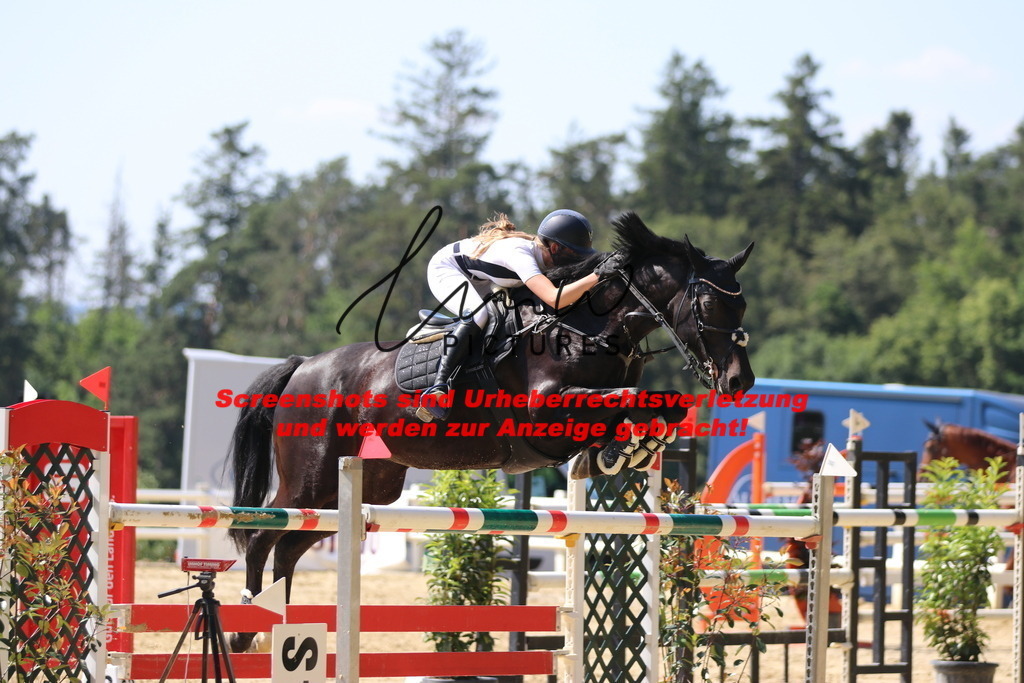 IMG_2926 | lmwpictures - Realisiert mit Pictrs.com