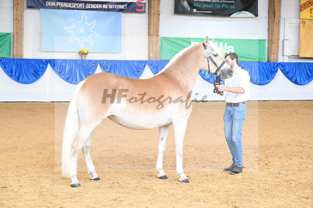 Kat-Nr. 265 Aurora_Stange_54223166 | hf-fotografie - Realisiert mit Pictrs.com