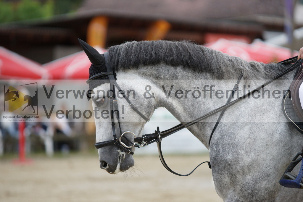 DSC03189 | equestrian-live-com