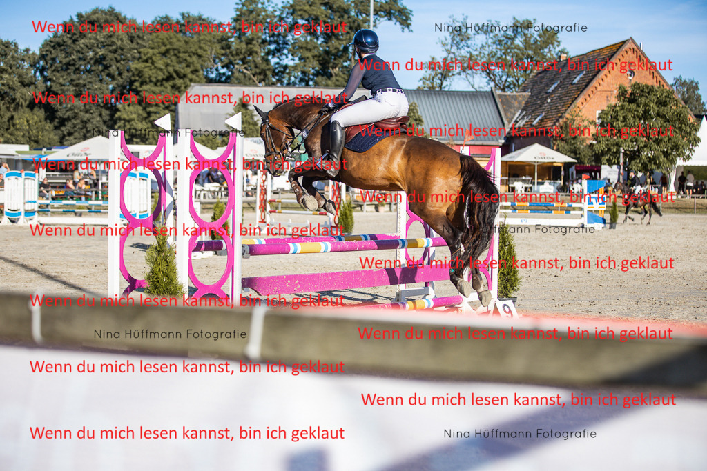 BK1A7840 | Turnierbilder Turnierfotos Nina Hüffmann Turnierfotografie Pferdefotografie Tierzeichnung Haustierzeichnung Pferdezeichnung Hundezeichnung Videograf  - Realisiert mit Pictrs.com