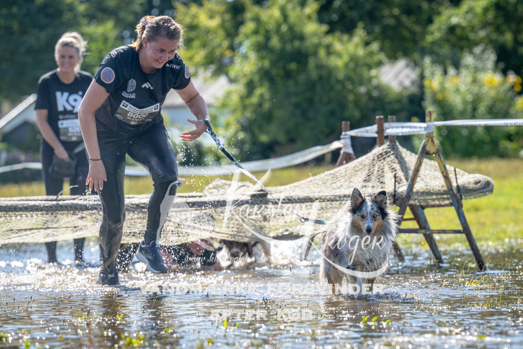 1252_ZZ90331 | kk-dogfotos