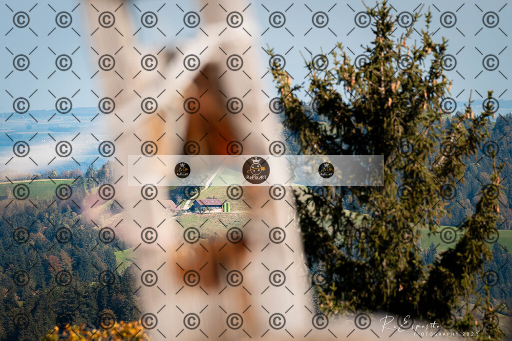 20231012_Napf_060 | Sport und Naturfotografie von Roberto Esposito zeigt echte Momente Bewegung und die Schönheit der Natur. Ausdrucksstarke Bilder schaffen Emotionen.