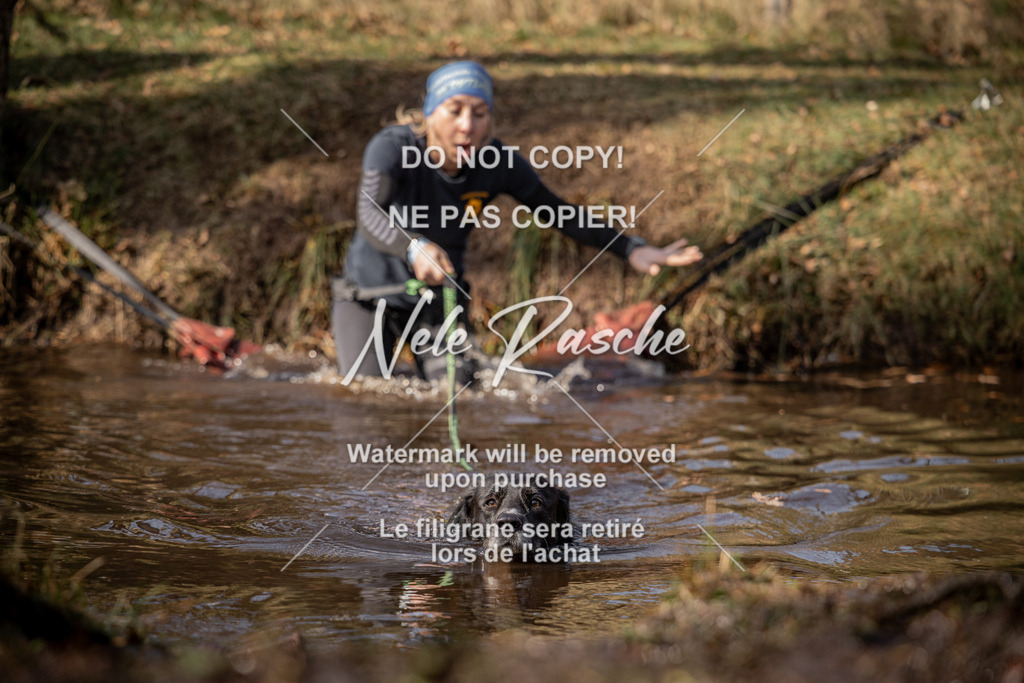 nelerasche_FS1330-1400_312 | nelerasche