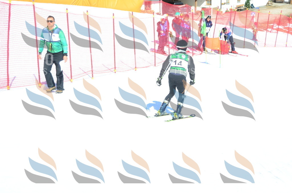 C6783 | holidayphoto