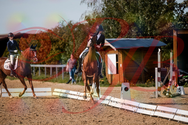 2026_10_03_Siefer-Hof_132904_Z63_91001143 | Professionelle Reitsport-, Turnier- und Eventfotografie von Robert Broda. Galerien mit ausgewählten und bearbeiteten Bildern direkt online ansehen und bestellen.