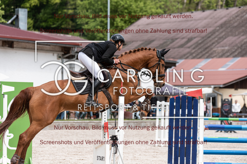 DSC_5615 | Turnierfotografin Carolin Gieschke, Turnierfotografie Carolin G Fotografie, Turnierfotos Kirchheim/Teck, Esslingen, Stuttgart, Bodenseekreis