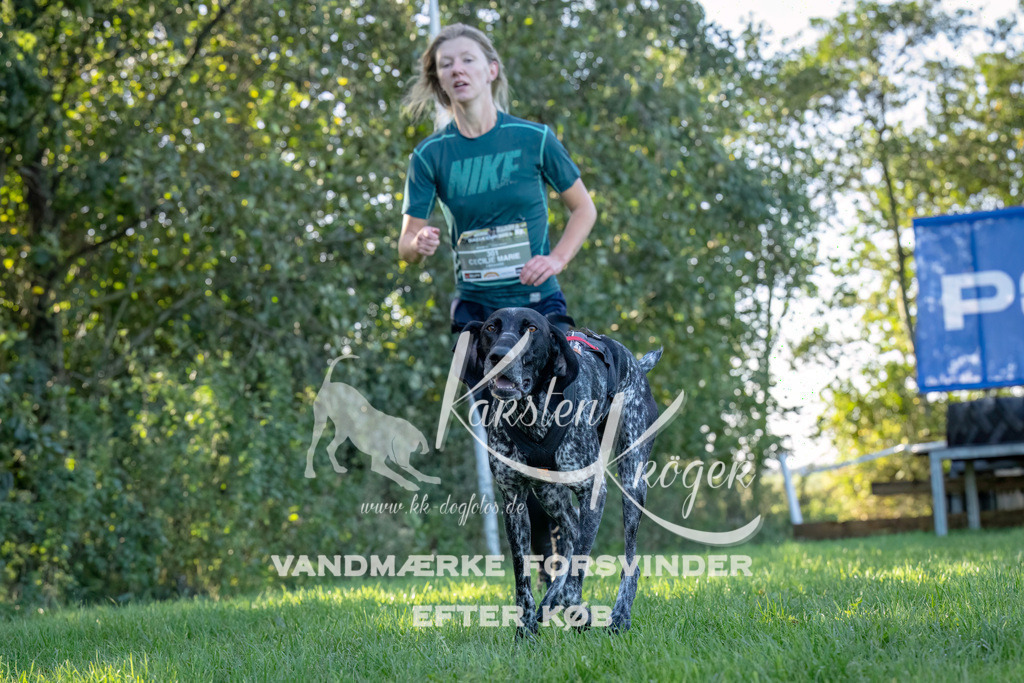 1014--10 | kk-dogfotos