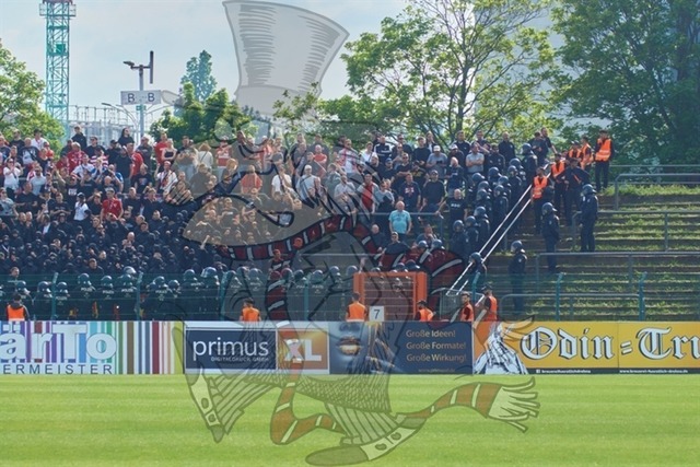 BFC Dynamo vs. FC Energie Cottbus 055 | mythos-online-redaktion