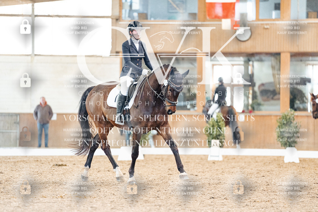CK908463 | Turnierfotografie Pferdefotografie Trier Rheinland-Pfalz Pferdesport Reitsport Tierfotografie Sportfotografie Pferdevideo Pferdevideografie Equestrianvideography equestrianphotography  - Realisiert mit Pictrs.com