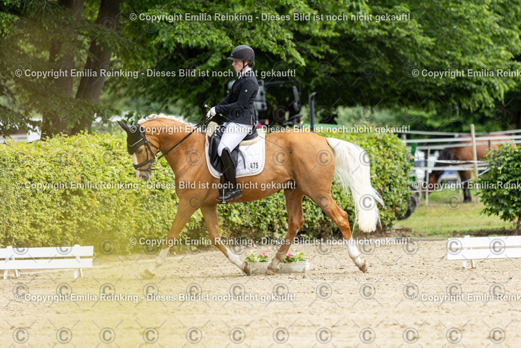 CL5A0092 | Emilia Reinking Fotografie - Realisiert mit Pictrs.com