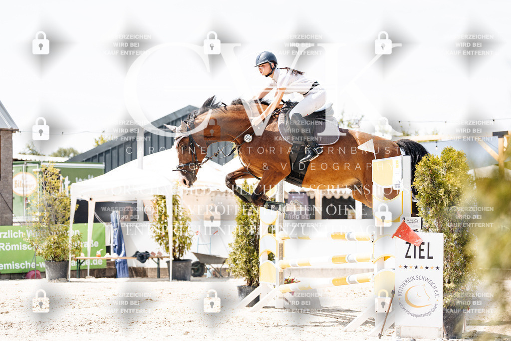 CK908074 | Turnierfotografie Pferdefotografie Trier Rheinland-Pfalz Pferdesport Reitsport Tierfotografie Sportfotografie Pferdevideo Pferdevideografie Equestrianvideography equestrianphotography  - Realisiert mit Pictrs.com