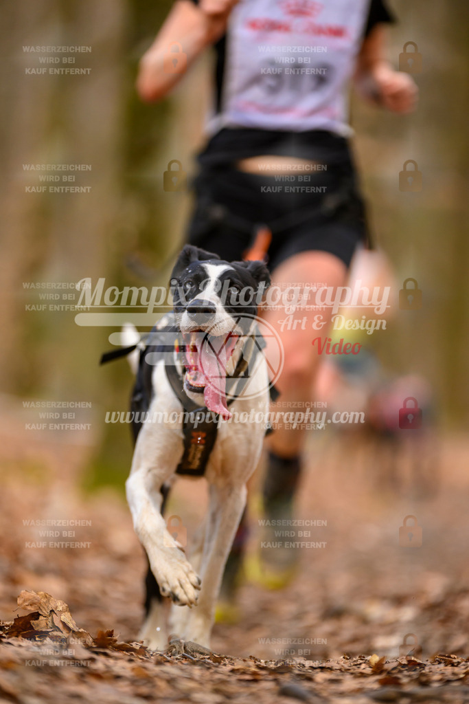 MompixPhotography_Habay2025_SA_CCC-227 | PayLife