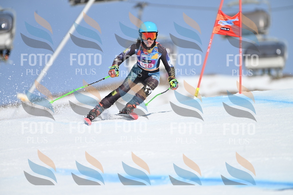 BGV_9769 | holidayphoto