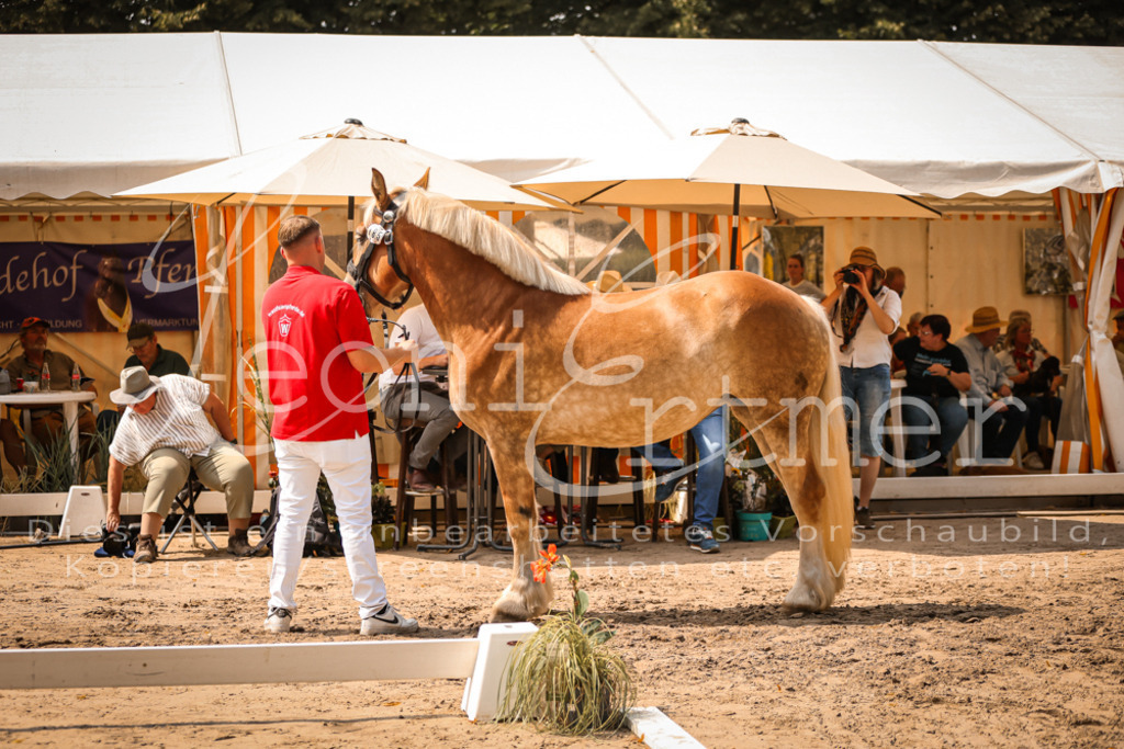 2.Sa00051 | Leoni Ertmer Photography - Realisiert mit Pictrs.com