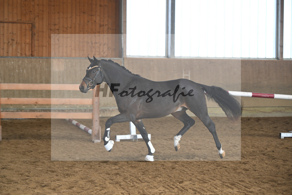 Kat-Nr. 6 Junkbrunnens Nomen est Omen v. Neverland WE_Thomas_49250163 | hf-fotografie - Realisiert mit Pictrs.com