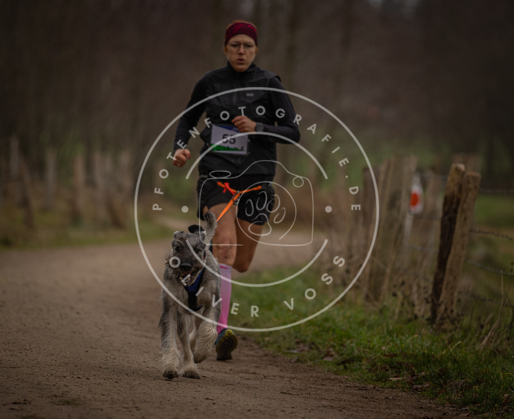 Pfotenfotografie_DV3A3030 | Hundefotografie, Tierfotograf, Pfotenfotografie, Fotoshooting Hund, Hunde Portrait, Hundesport, Hundeportraits, Heideshooting, Hunde, Sportfotograf, Hundefotograf, Turnierhundsport, THS,  - Realisiert mit Pictrs.com