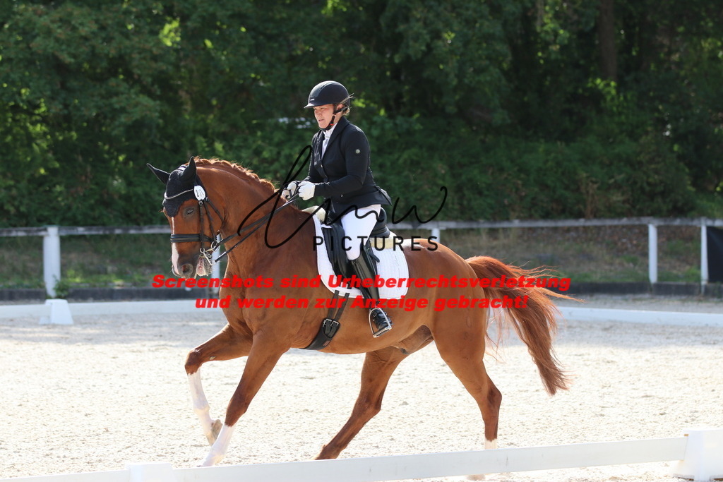 IMG_5643 | lmwpictures - Realisiert mit Pictrs.com