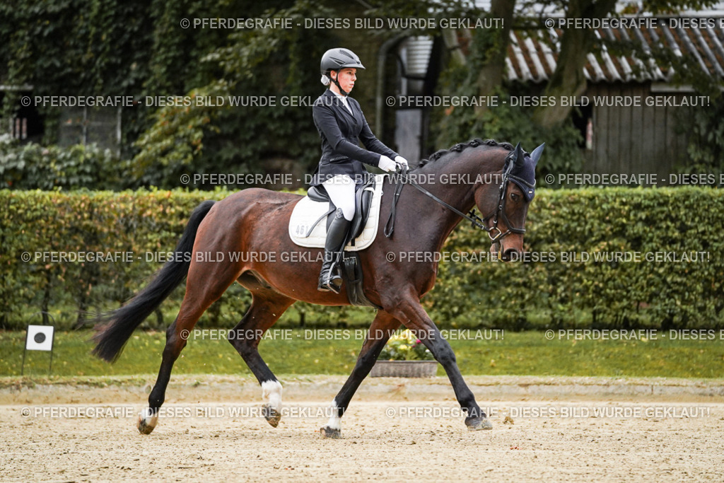 DSC06394 | Pferdegrafie