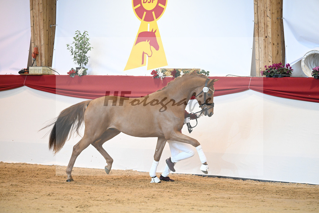 Kat-Nr. 73 Vaderland_Galneder_1231503 | hf-fotografie - Realisiert mit Pictrs.com