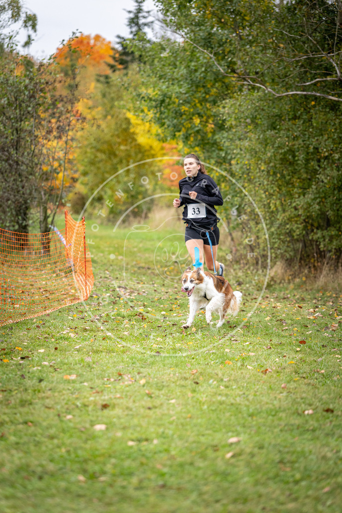 Pfotenfotografie_DV3A2140 | Hundefotografie, Tierfotograf, Pfotenfotografie, Fotoshooting Hund, Hunde Portrait, Hundesport, Hundeportraits, Heideshooting, Hunde, Sportfotograf, Hundefotograf, Turnierhundsport, THS,  - Realisiert mit Pictrs.com