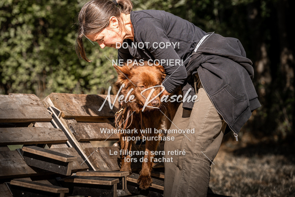 nelerasche_slaw24So_200 | nelerasche