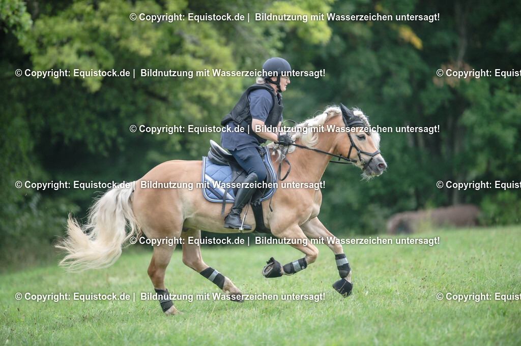 20250726_Vielseitigkeitslehrgang-Marbach_0554 | Foto: Thomas Hartig