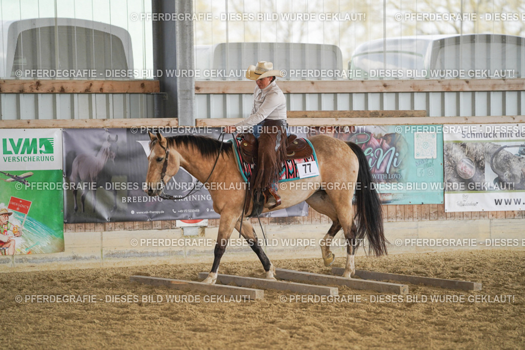 DSC01792 | Pferdegrafie