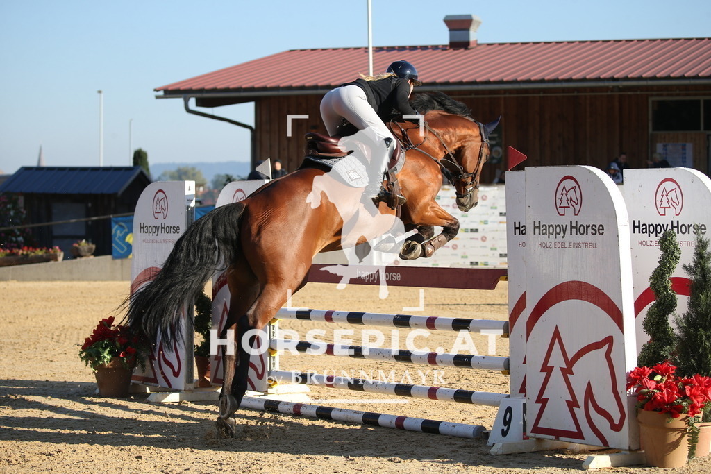 DL2Q0946 | Willkommen bei Brunnmayr - Design & Fotografie – Ihrem Spezialisten für Reitturniere und Pferdeveranstaltungen in Oberösterreich, Salzburg und Bayern! Seit über 17 Jahren sind wir leidenschaftlich dabei.