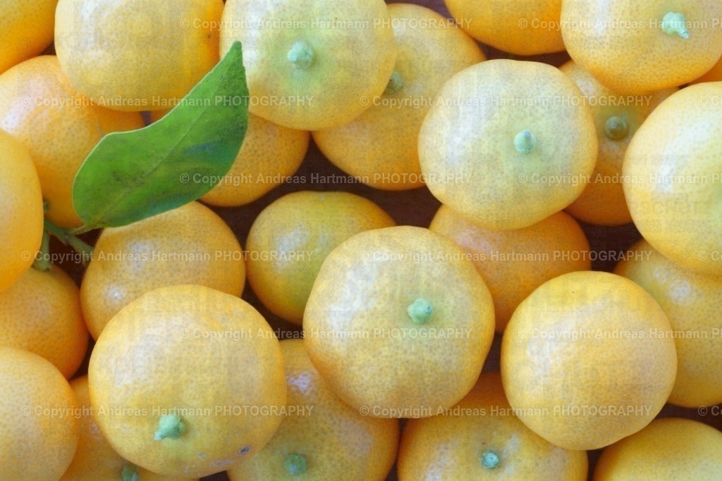 Mini-Orangen | Mini-Orangen - Realisiert mit Pictrs.com