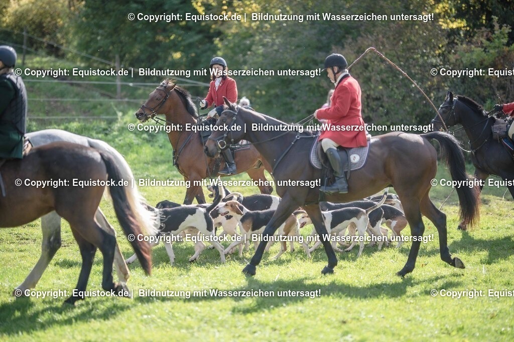 20251011_Jagd-Marbach_0141 | Foto: Thomas Hartig