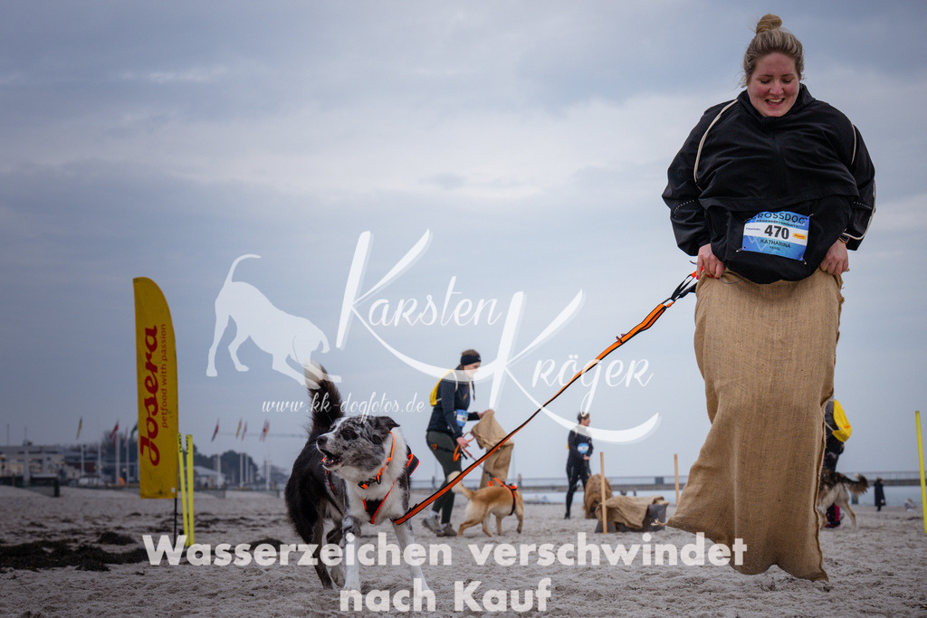 1213_ZZ92611 | kk-dogfotos