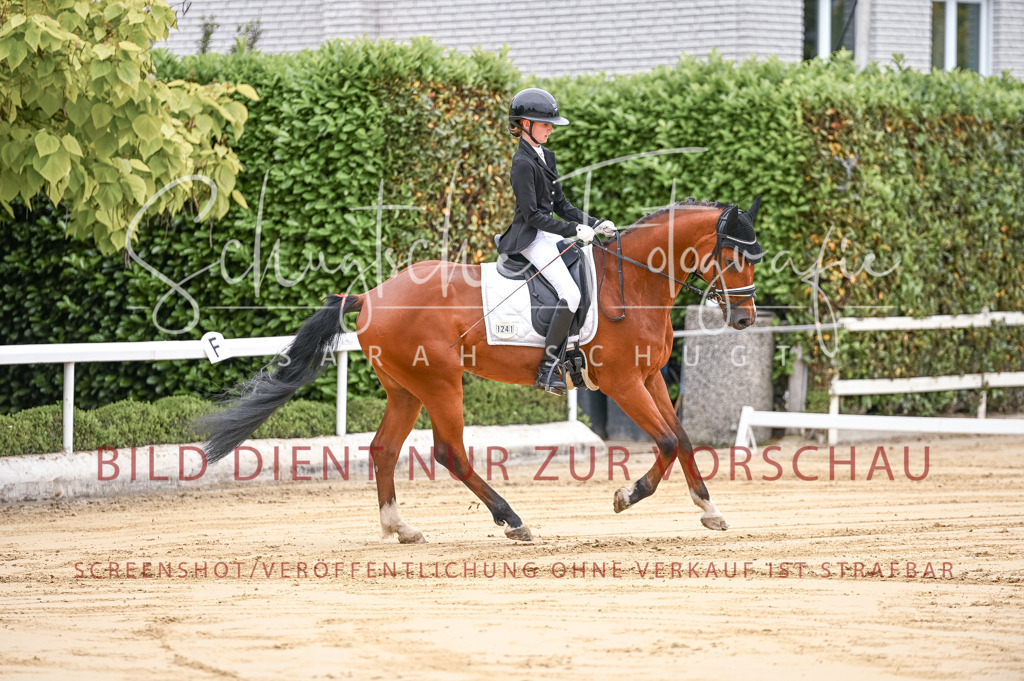 Schugtsche-Aluta25-42.EDressur -18 | Schugtsche Fotografie - Realisiert mit Pictrs.com