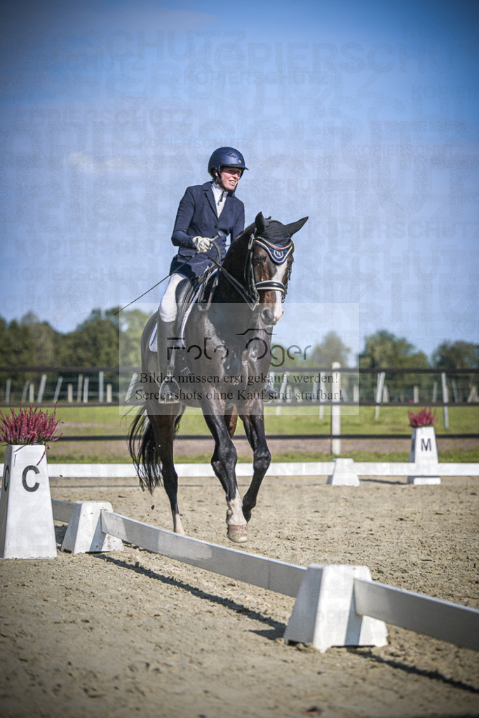 DOS_2530 | Entdecke hochwertige Reitturnierfotos von Foto Oger. Professionell, emotional und authentisch – jetzt Lieblingsmomente im Shop bestellen.Deutschlandweite Turnierfotografie. - Realisiert mit Pictrs.com