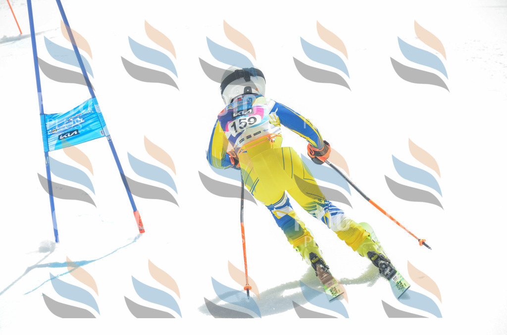 _ELE6419 | holidayphoto