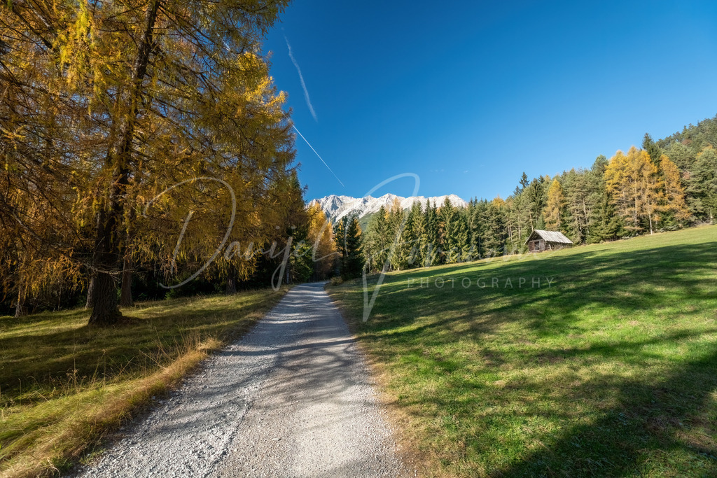 Mieming | Herbst am Mieminger Plateau