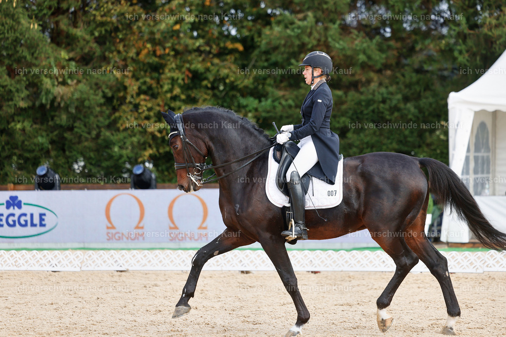 07-007-DRESSUR  S___  -StoibPH-5014 | working equitationturnier fotograf videograf stoibphotography marixx film working equitation deutschland reitsport turnierfotografie eventfotografie equestrian events
