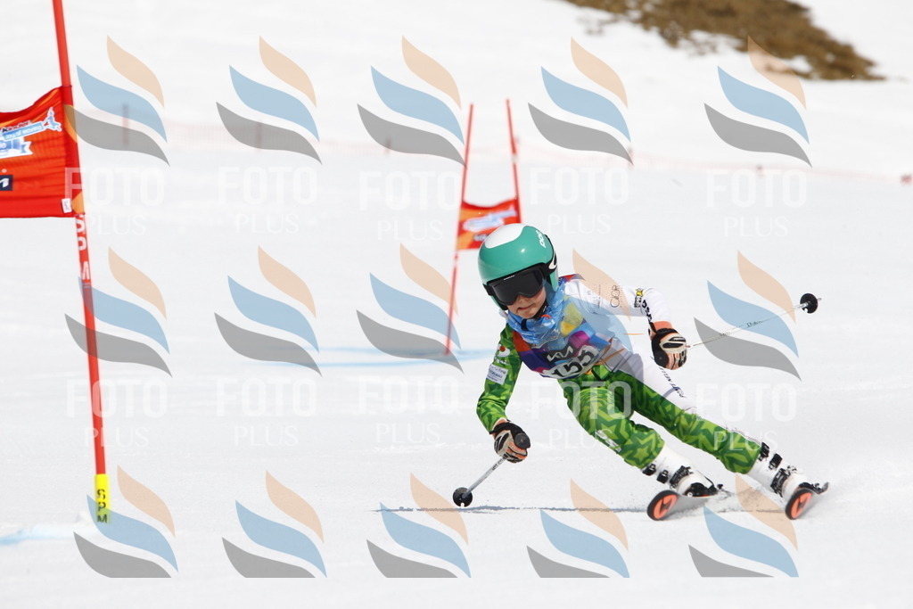 _U3G4197 | holidayphoto