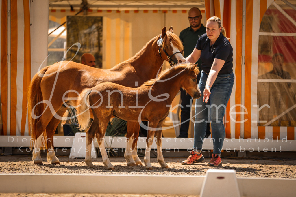 04.DoWP00005 | Leoni Ertmer Photography - Realisiert mit Pictrs.com